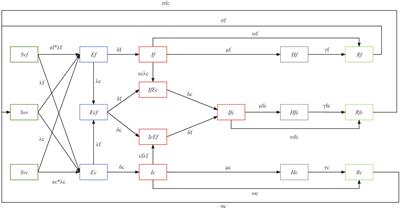 Influenza and COVID-19 co-infection and vaccine effectiveness against severe cases: a mathematical modeling study